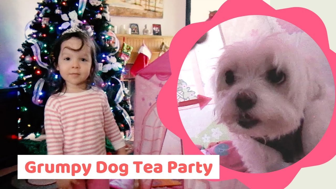 Home video: Kid tries to have tea party with grumpy dog - funny indie short