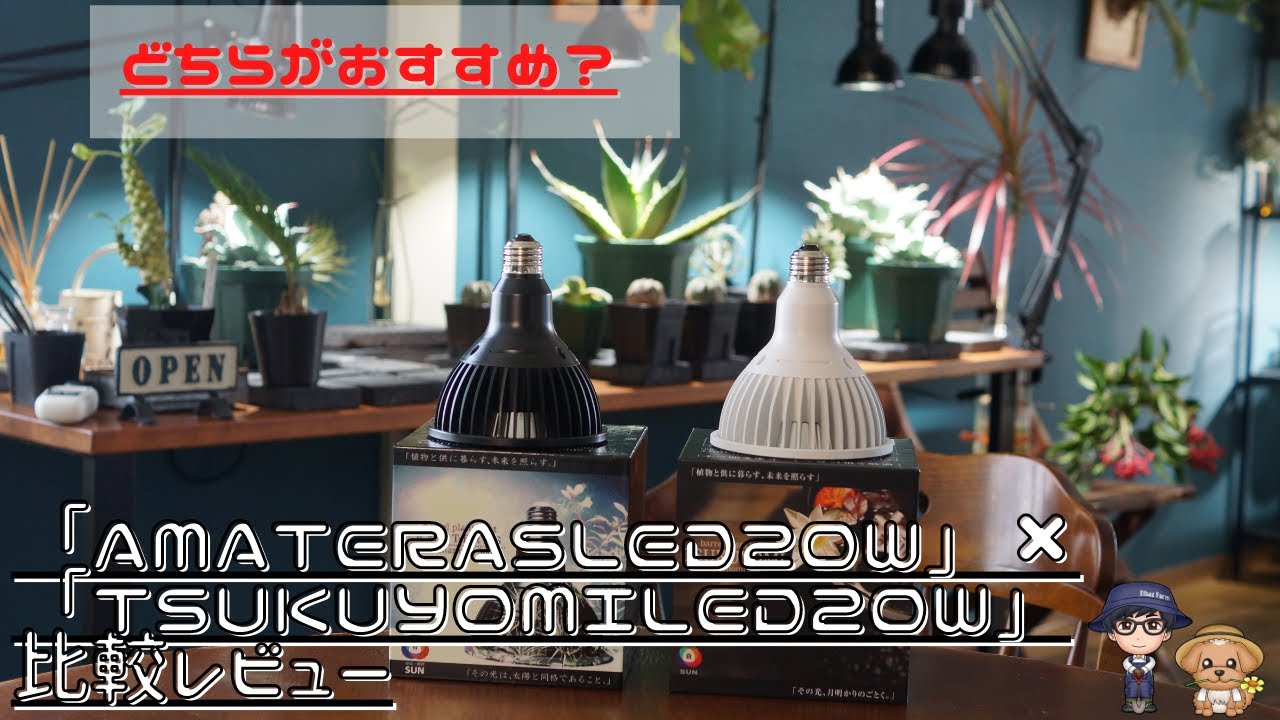 「AMATERAS（アマテラス）20W」と「TSUKUYOMI（ツクヨミ）20W」の比較レビュー