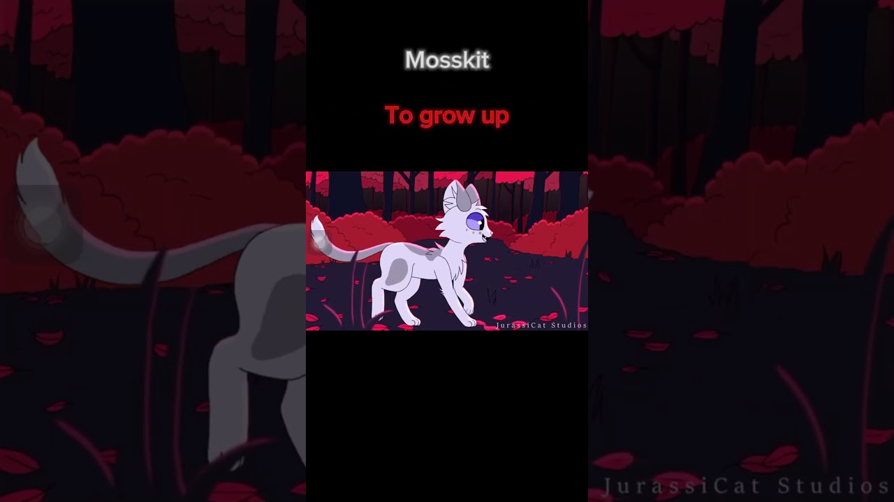 Warrior cats who deserve a second chance part 2