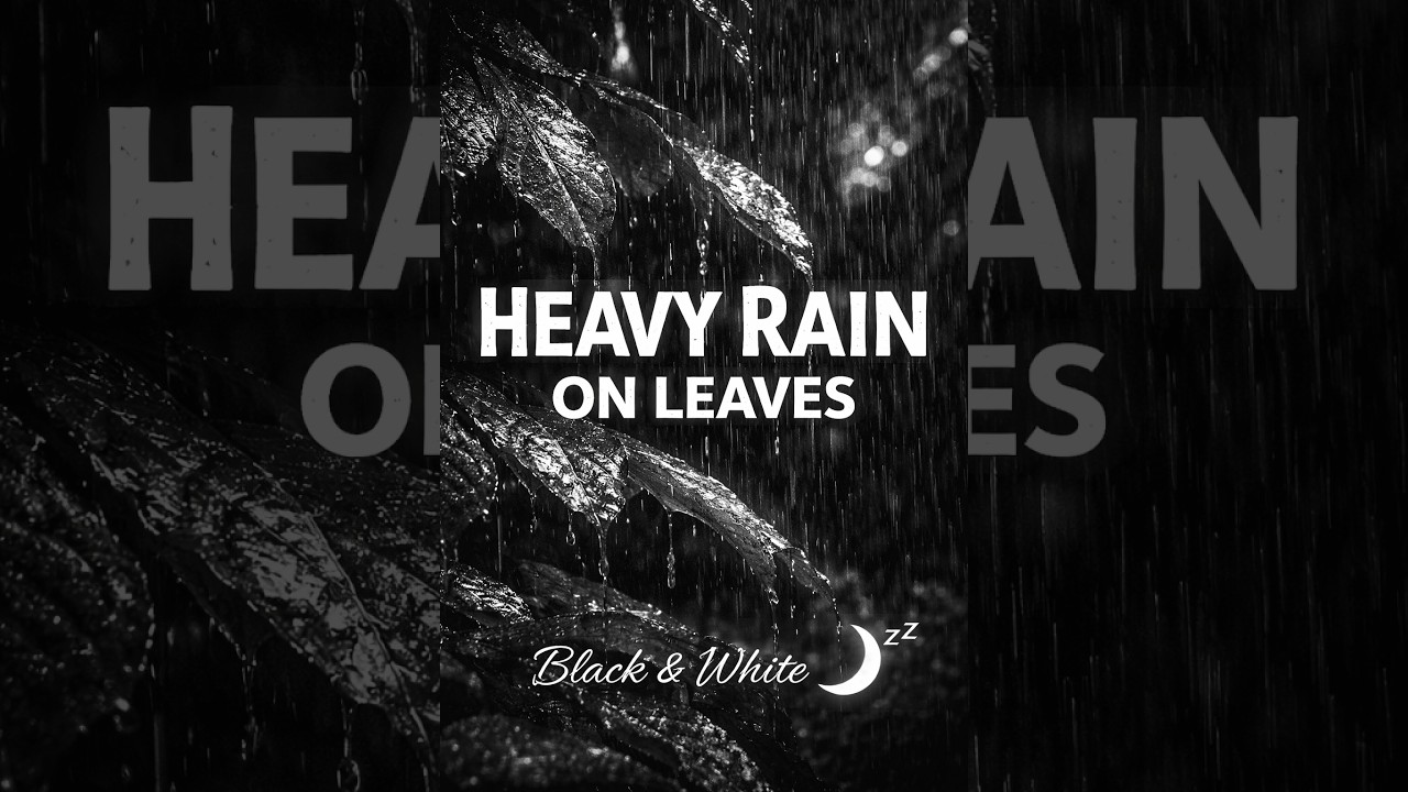 (sem anúncios/no ads) Chuva nas Folhas para Dormir   Rain Sounds for Deep Sleep & Relaxation