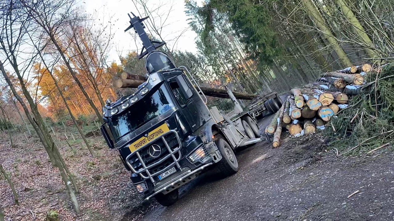 Langholz laden Mercedes Arocs