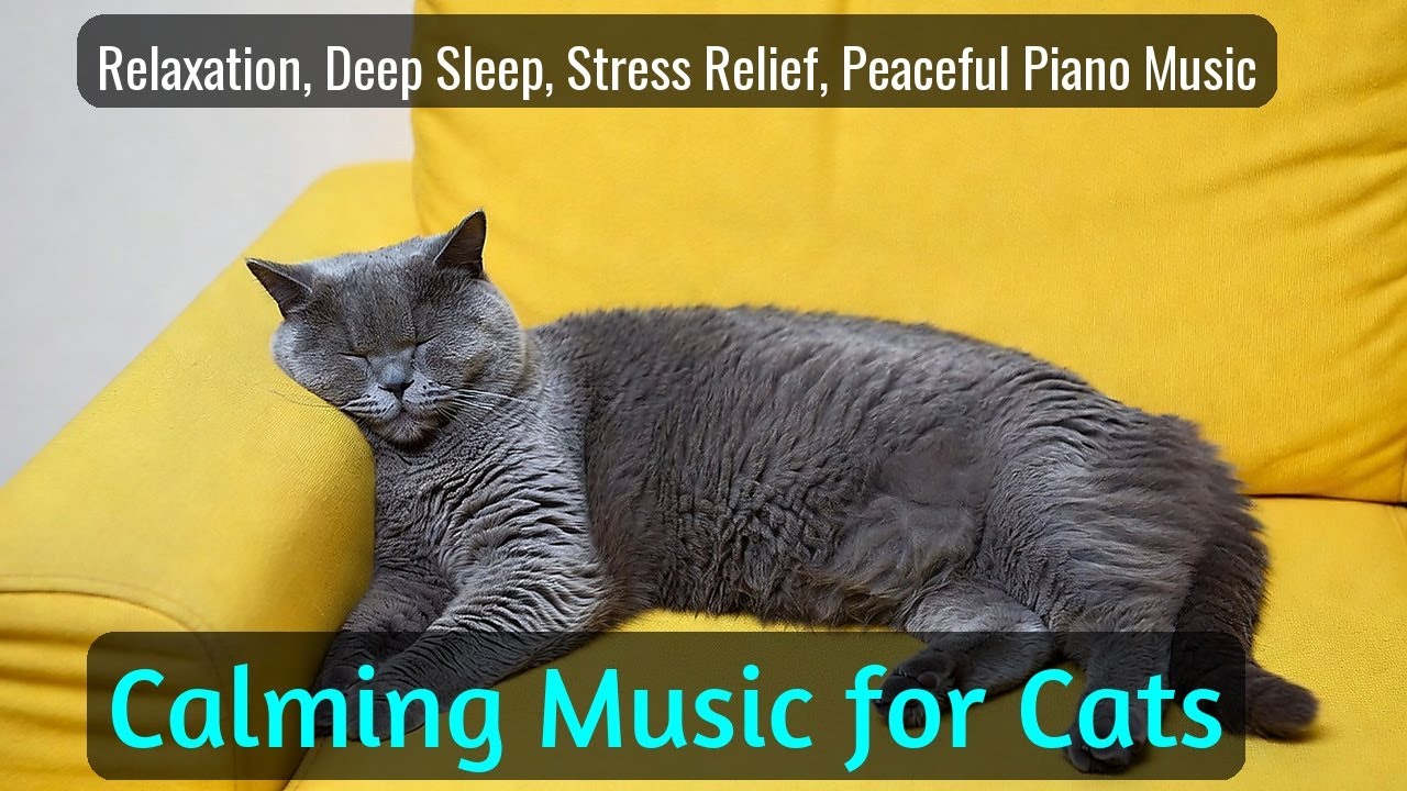 Calming Music for Cats - Relaxation, Deep Sleep, Stress Relief, Peaceful Piano Music | Season 71