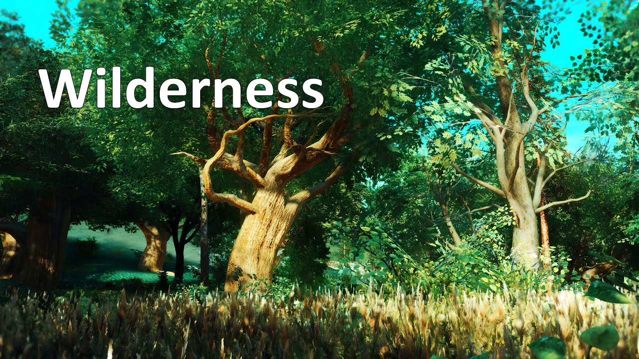 Chanterelle World SE | Adventure Awaits in This Gorgeous Fantasy World
