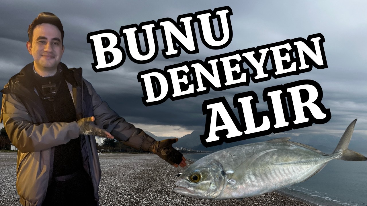 Antalya’da Kasnakla Tral & LRF ile Eşek İstavriti !Sübye Bonus Oldu!