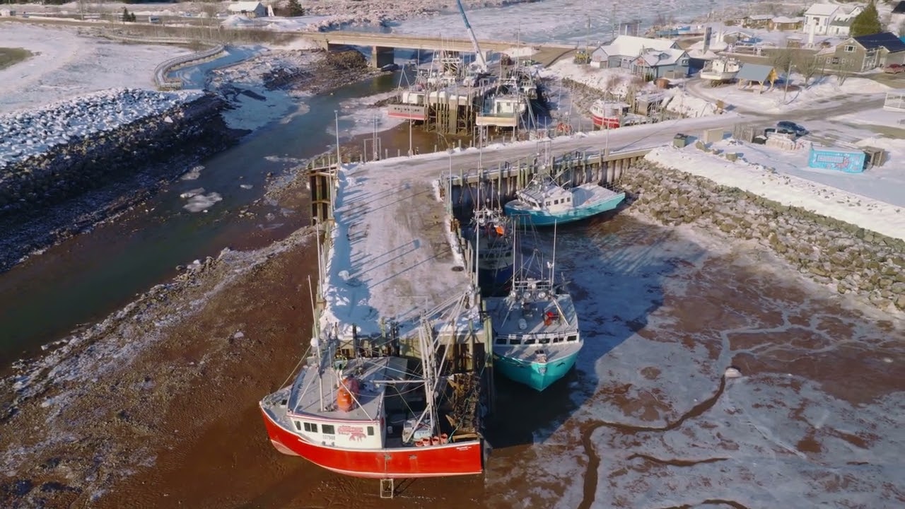 Amazing Video of Alma NB at Low Tide!!!!