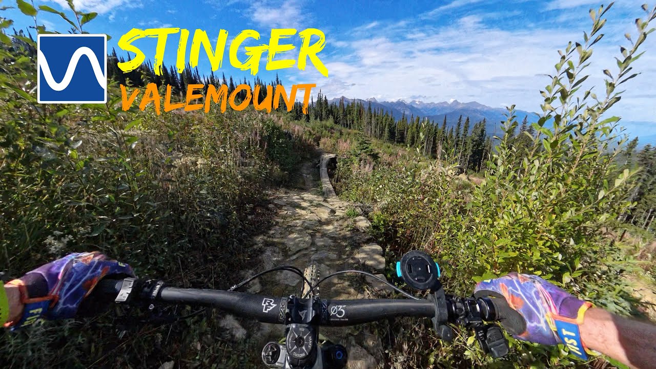 Stinger - Valemount