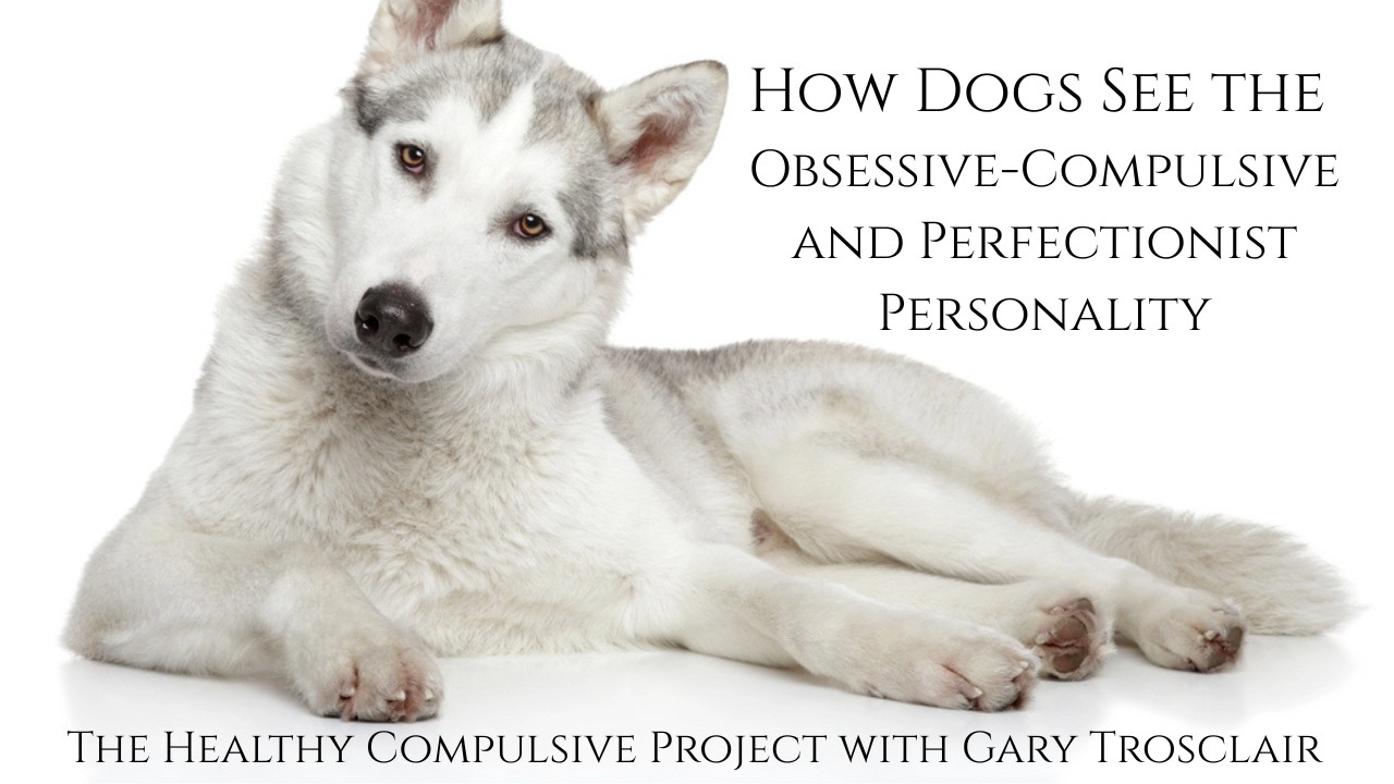 Ep: 108: A Dog's Eye View of OCPD