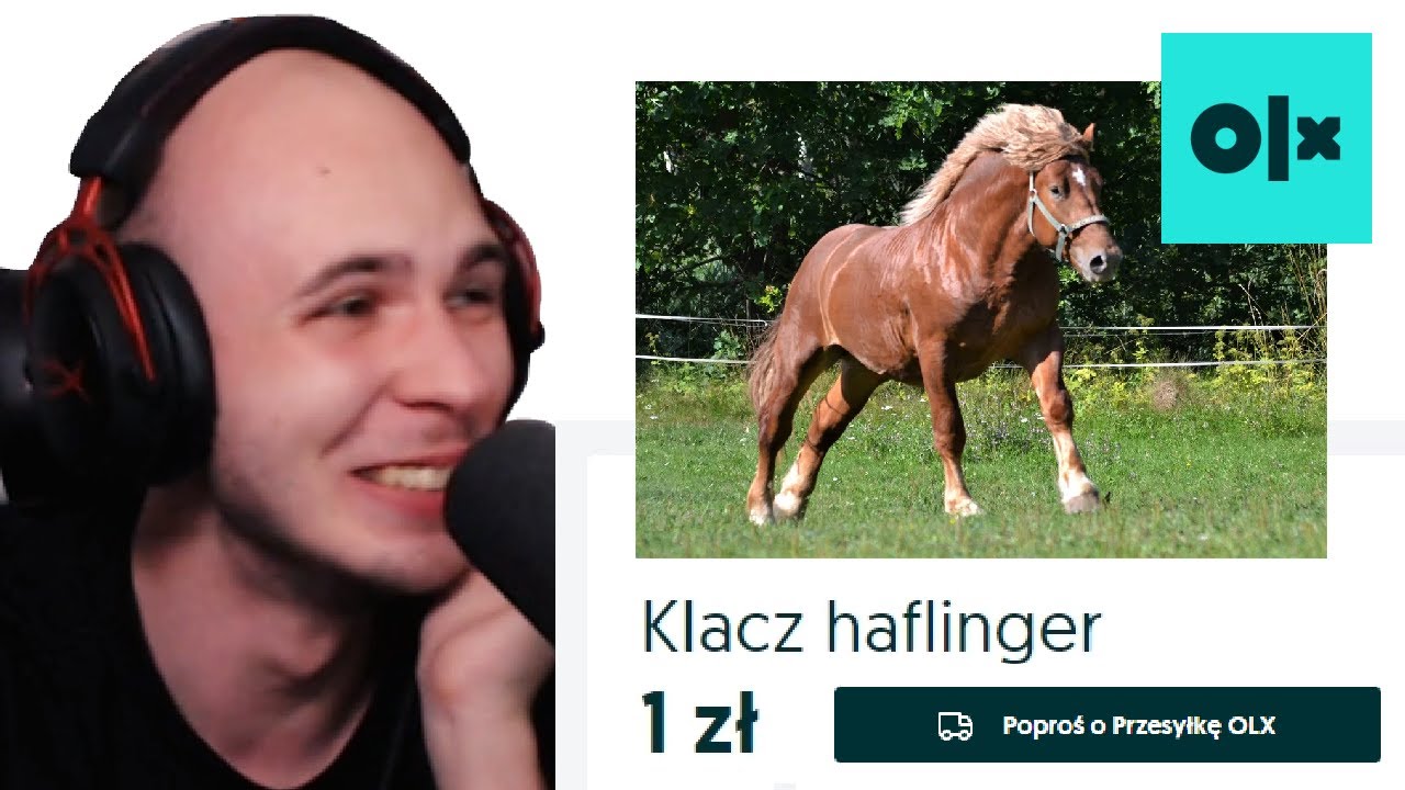 Kupowanie KONI na OLX o 1:00 w nocy