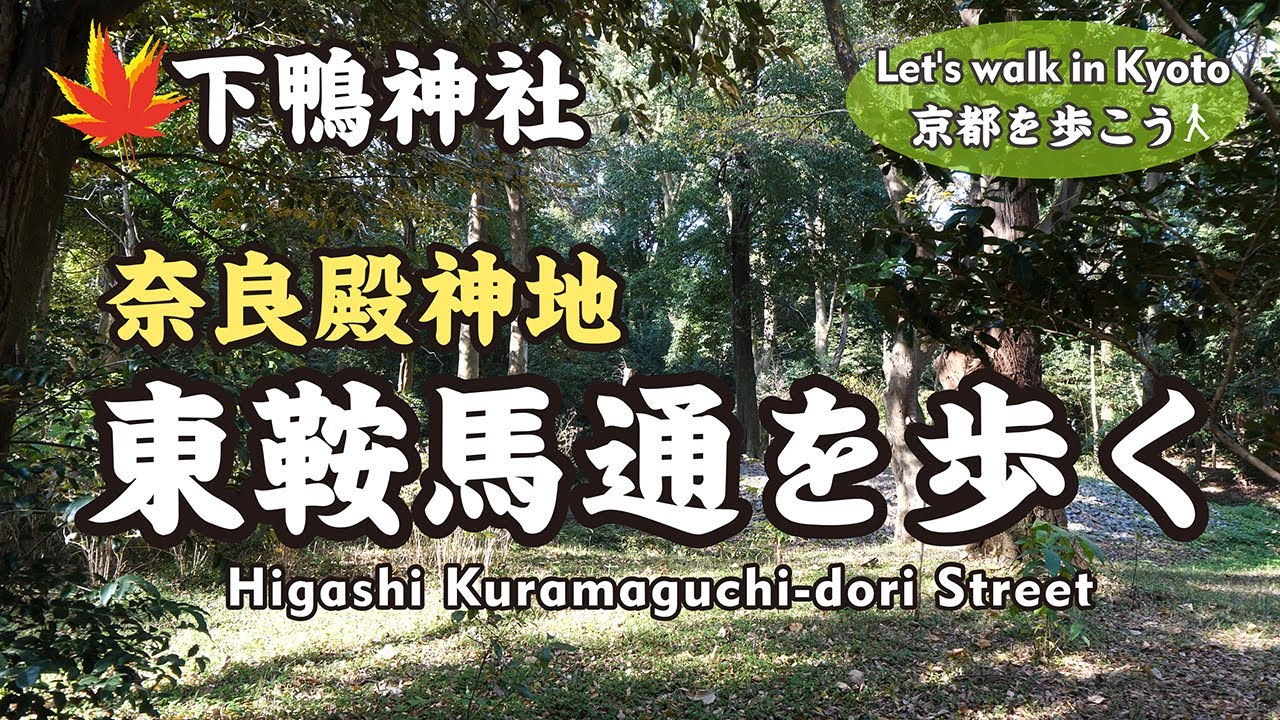 Kyoto Japan【4K】東鞍馬口通を歩く（京都芸術大学→東大路通→下鴨神社/奈良殿神地）Walk around Higashi-Kuramaguchi Street in December