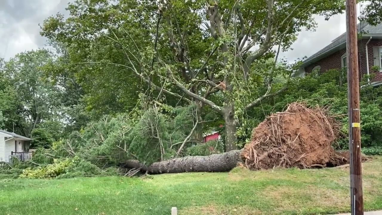08-19-2021 Perkasie PA Suspected Tornado Damage From Fred Remnants
