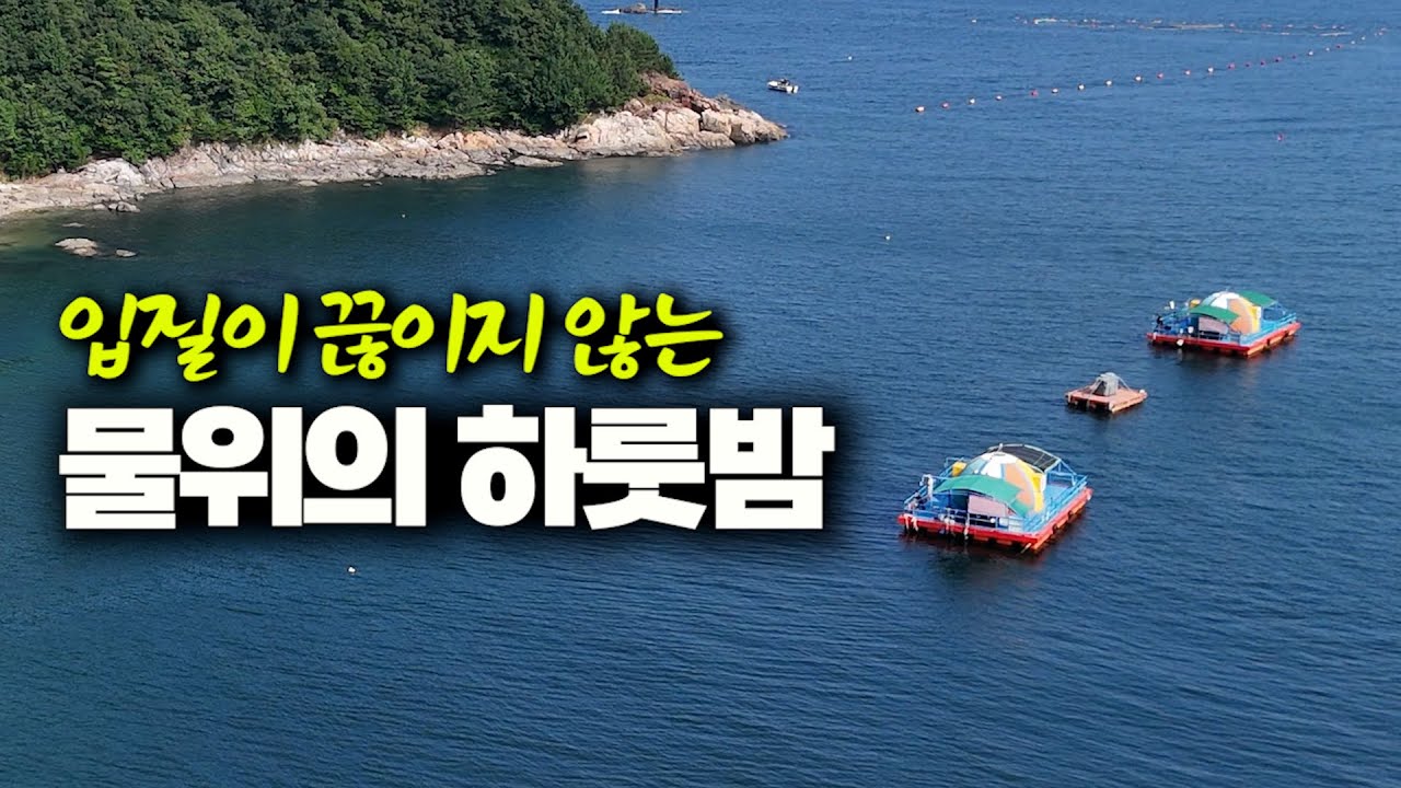 고기가 바글바글! 안주 걱정없는 물위에서 하룻밤 I 해상콘도 낚시 (박선비tv / 전갱이 불초밥, 감성돔 회)