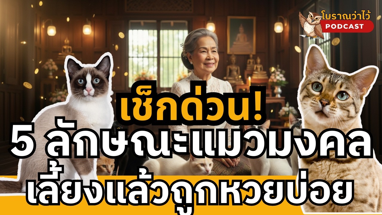 เช็กด่วน! 5 ลักษณะแมวมงคล เลี้ยงแล้วถูกหวยบ่อย ชีวิตเปลี่ยนจากถังแตกเป็นเศรษฐี
