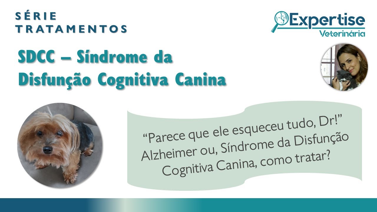 Série Tratamentos - Síndrome da Disfunção Cognitiva Canina (SDCC)