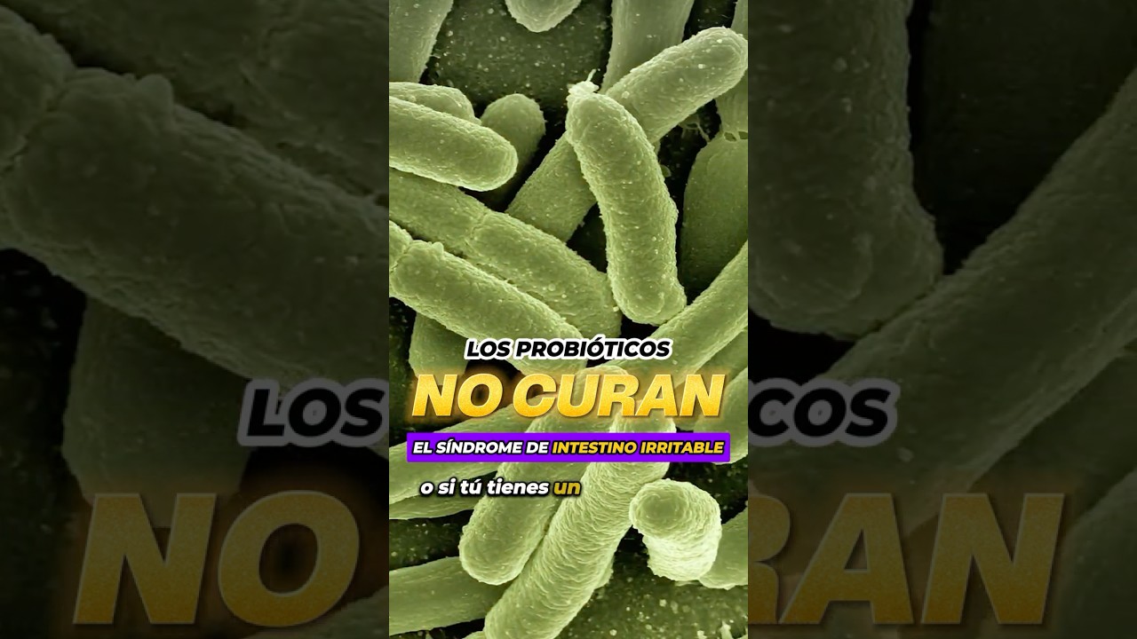 💊 Los PROBI&Oacute;TICOS ❌ NO curan el s&iacute;ndrome de INTESTINO IRRITABLE 🚫 @especialistaendiabetes