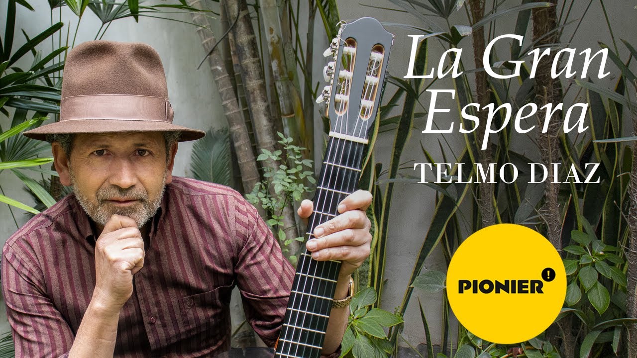 Telmo Díaz  - La Gran Espera (Audio)