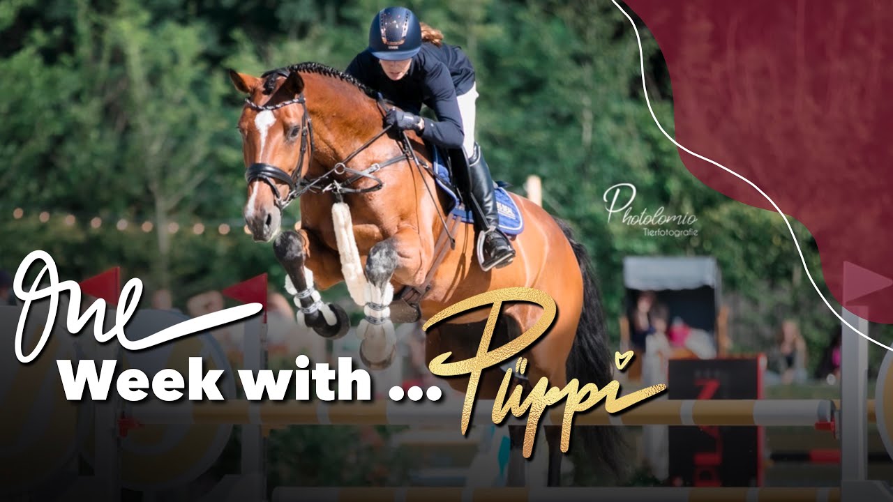 One Week with…Püppi | Folge 1 - Die Trainingswoche meines Top Springpferdes