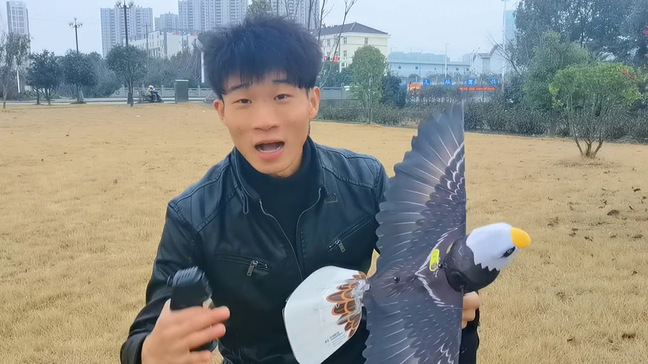 试玩仿生鸟飞行器，电影中的黑科技来到了身边，飞起来真酷