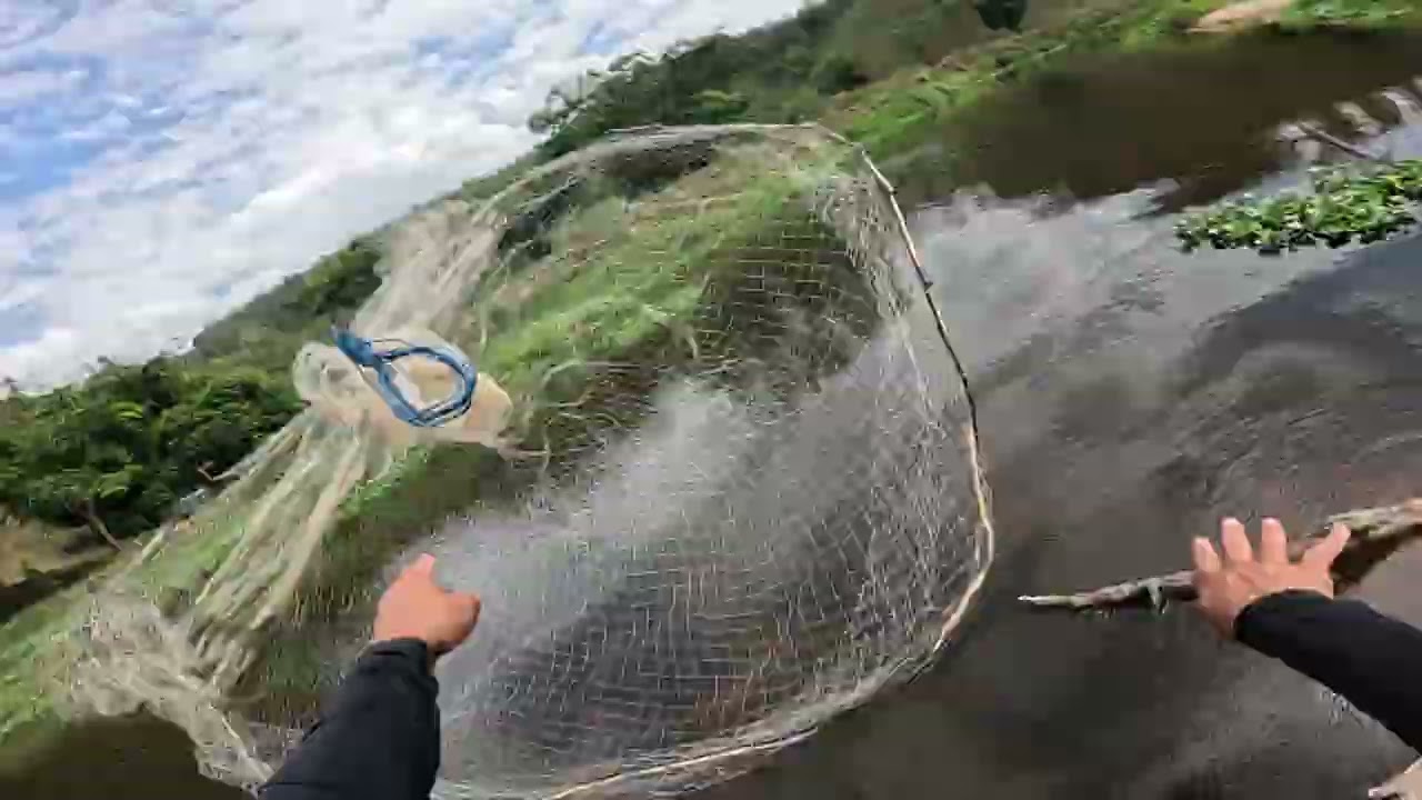 MIREI EM UM PEQUEI OUTRO PEIXE PESCARIA DE TILÁPIA SELVAGEM 