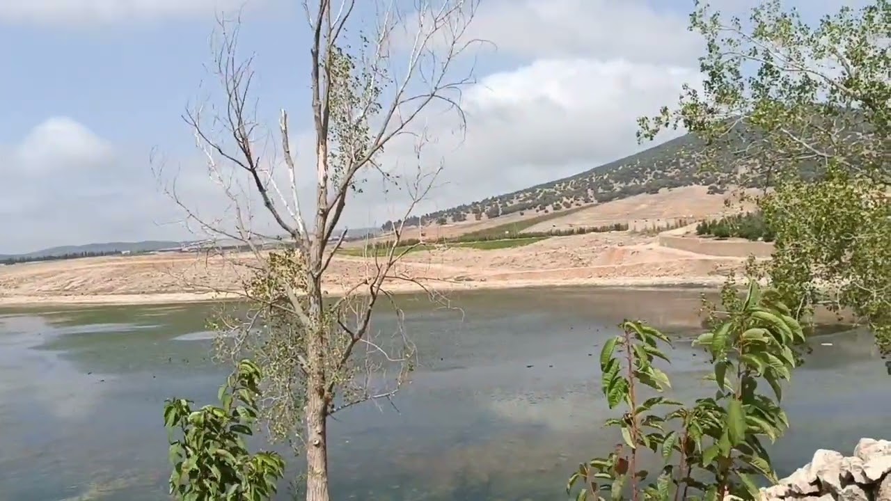 فيرما للبيع قريبة إموزار و طريق إفران على ضاية ماء تفاصيل في فيديو عند جمال وسيط عقاري 0679444657💯