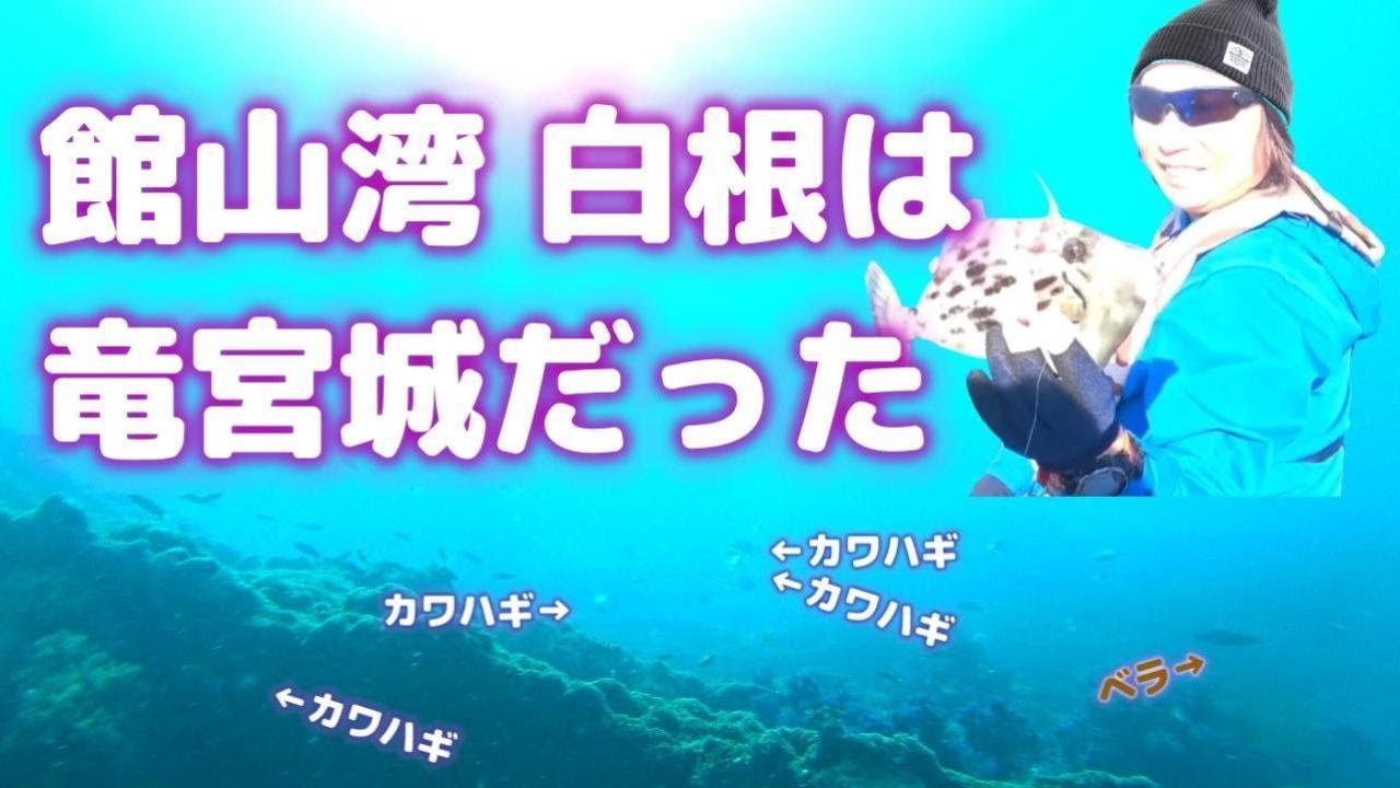 館山湾の白根は竜宮城だった