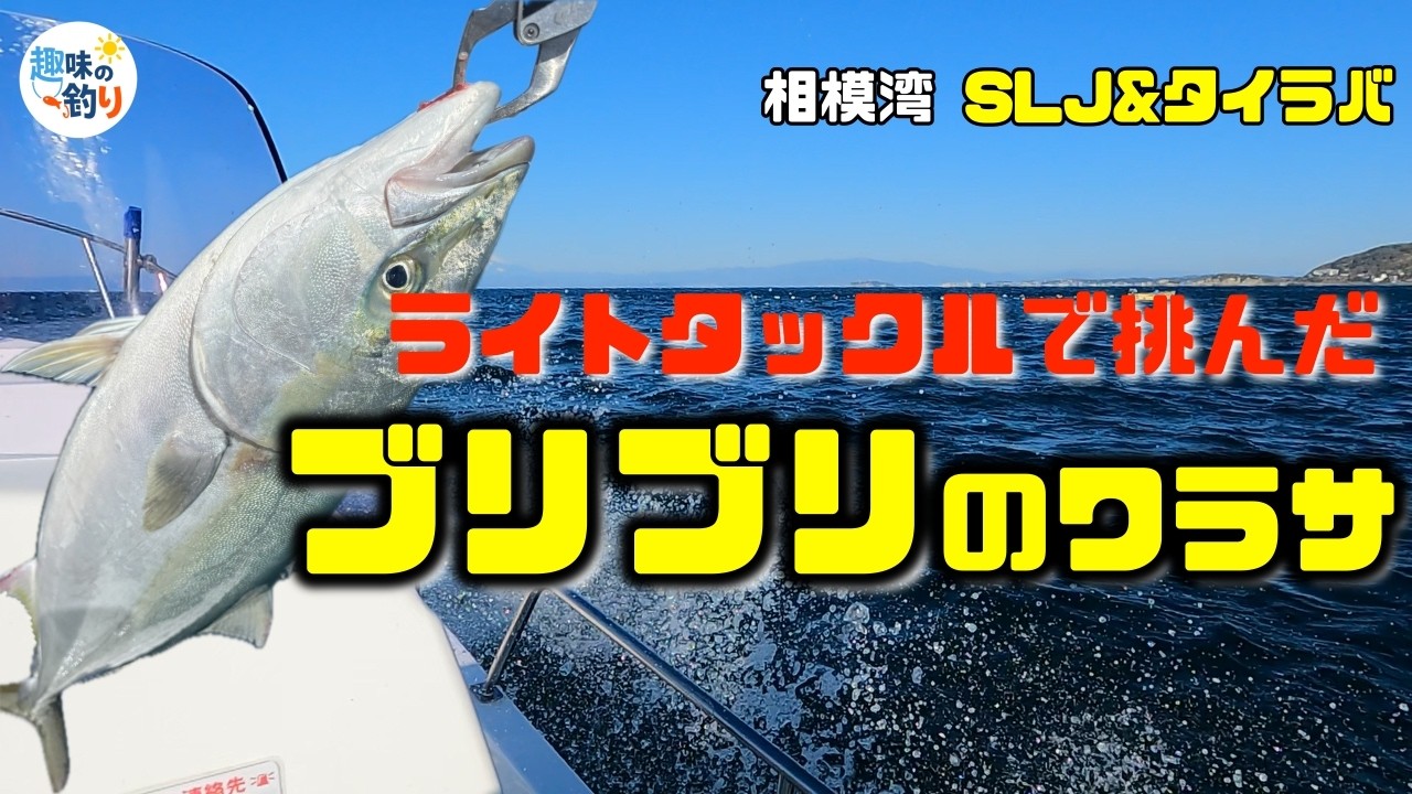 【相模湾SLJ】ブリブリのワラサ降臨！ライトタックルが悲鳴を上げる激闘の記録