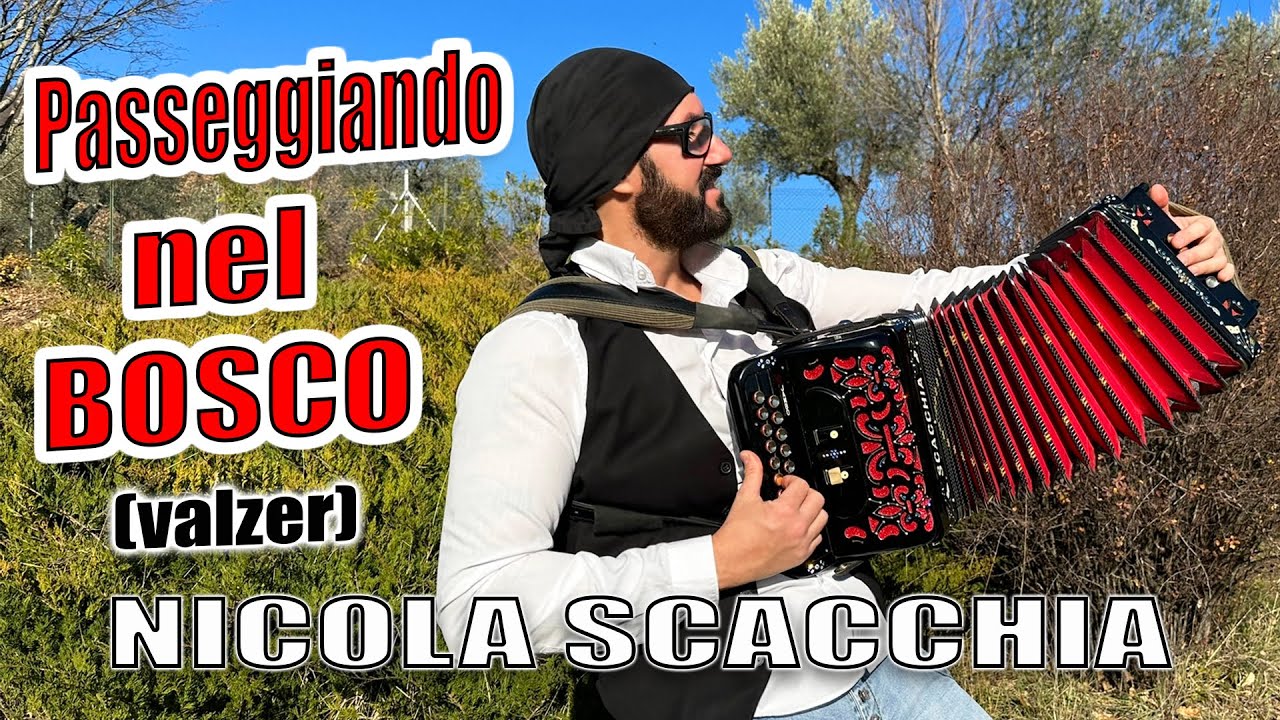 Passeggiando nel bosco (valzer) Nicola SCACCHIA e il suo organetto