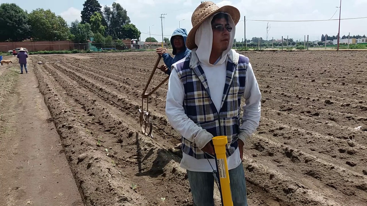 Plantadora manual Puebla REFATRAC