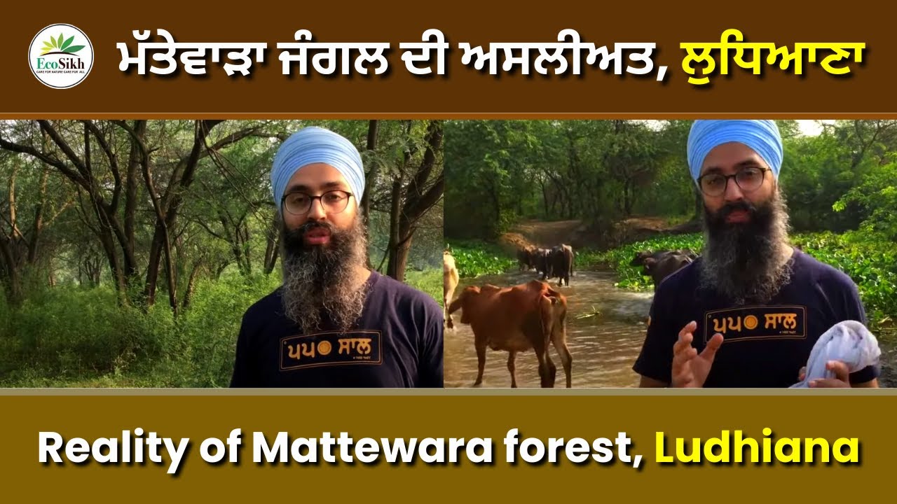 Reality of Mattewara forest || Ludhiana