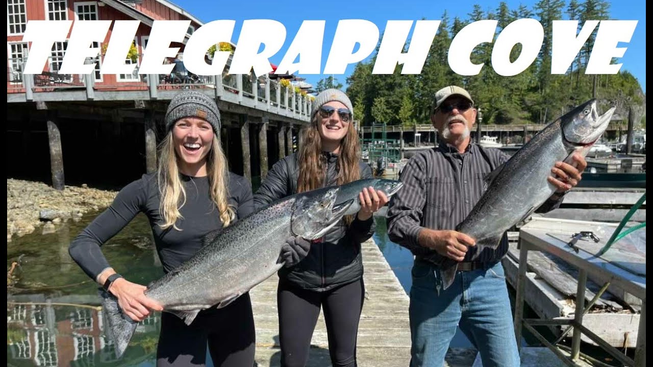 Salmon Fishing in Telegraph Cove (Chinook, Coho, Pink, Rockfish)