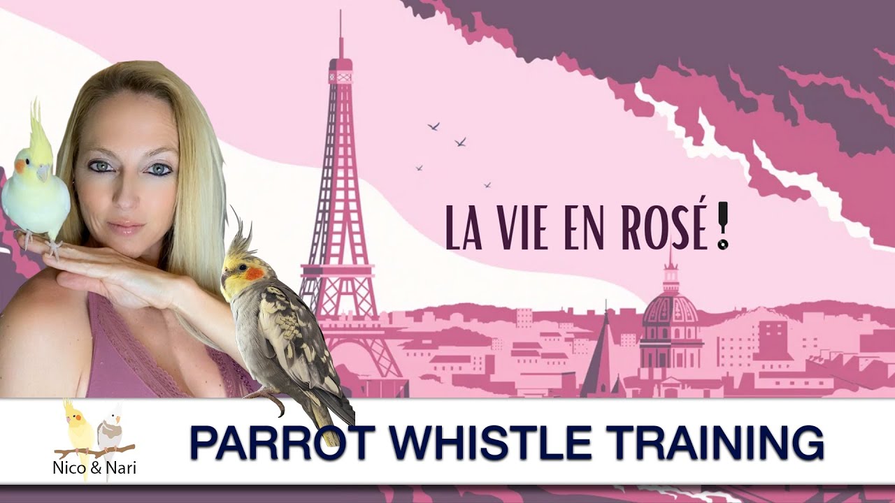 La Vie En Rose ~ Parrot Whistle Training
