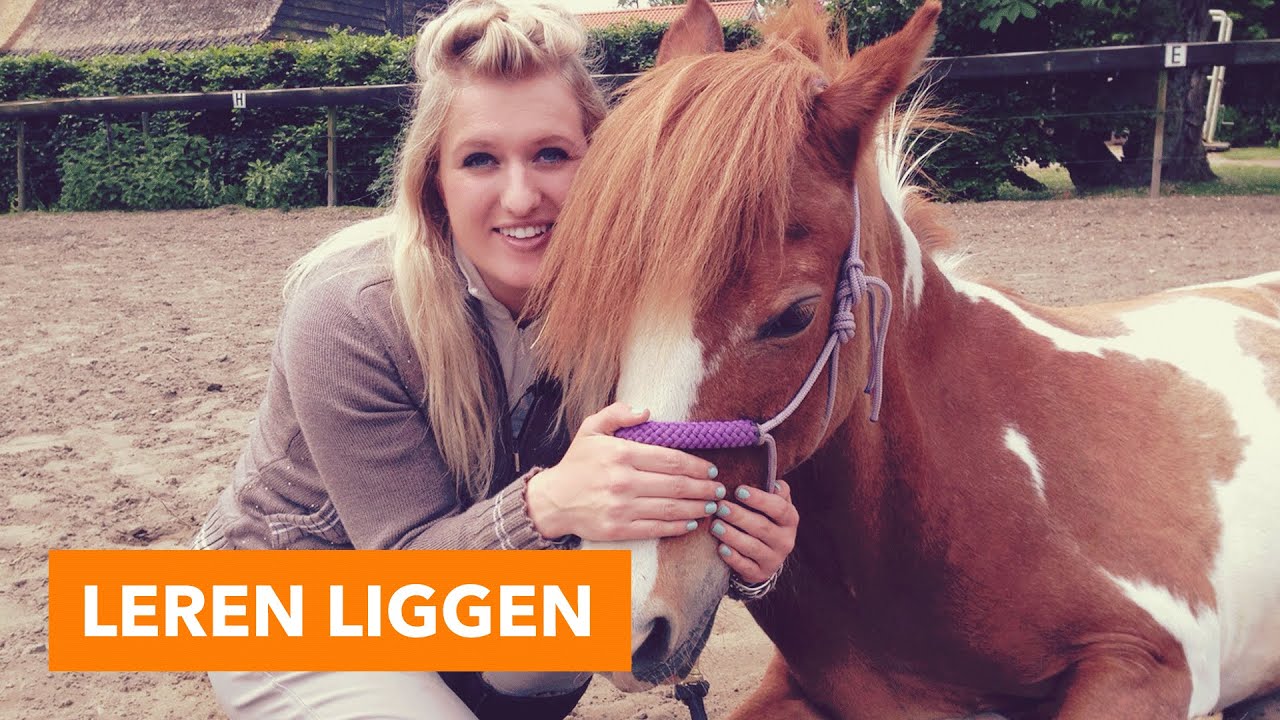 Leren liggen vrijheidsdressuur | PaardenpraatTV