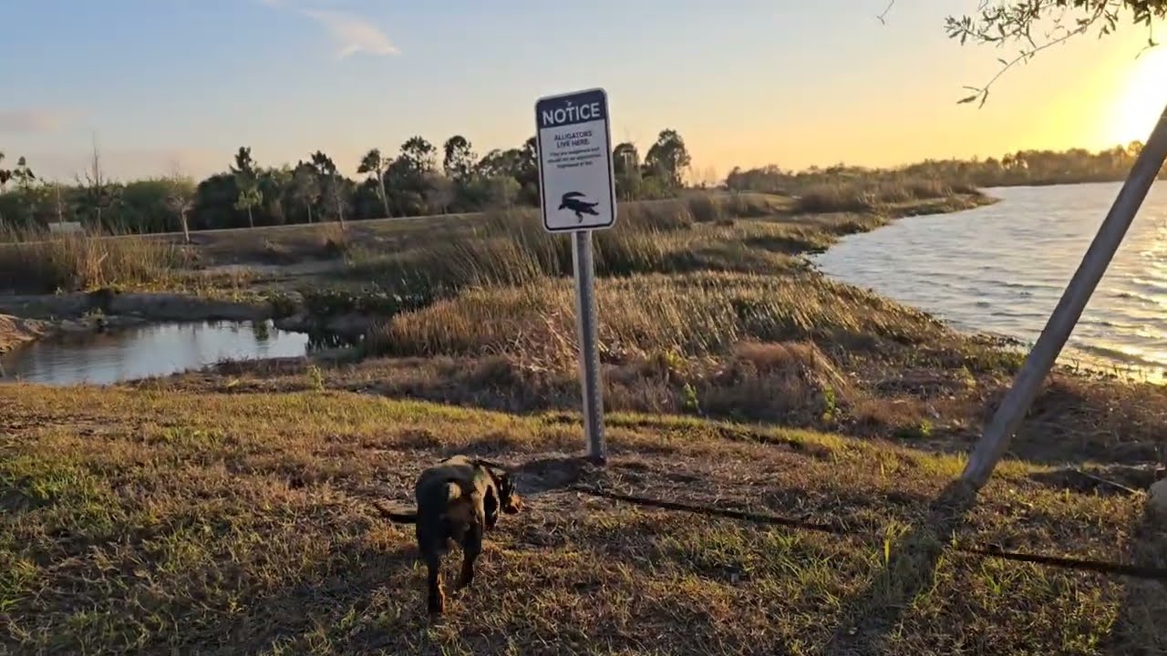 THIS MIGHT BE HER NEW FAVORITE PLACE 😲🐾🤫