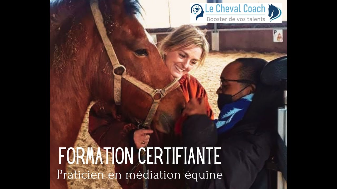 Notre formation de Praticien en médiation équine Le Cheval Coach