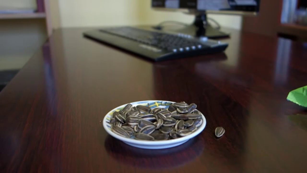ASMR: Sunflower seeds eating: Семечки [HROOM-HROOM]