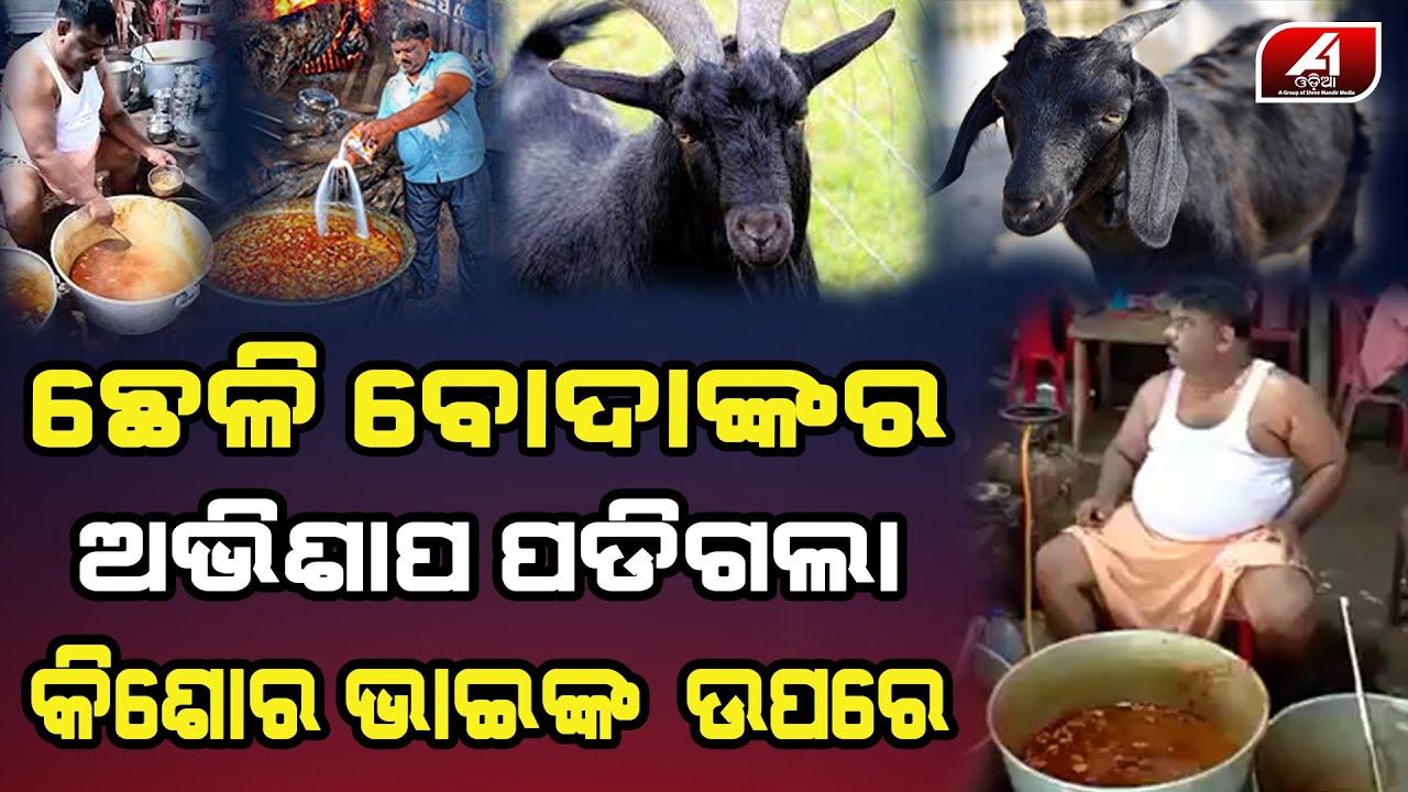 ଛେଳି,ବୋଦାଙ୍କ ଲୁହର ଅଭିଶାପ ପଡିଗଲା କି କିଶୋର ଭାଇନା ଉପରେ | Kishore Mutton | Bhubaneswar News | A1 ODIA