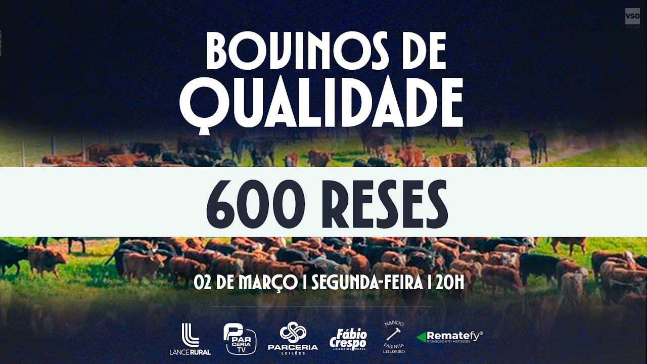 REMATE BOVINOS DE QUALIDADE