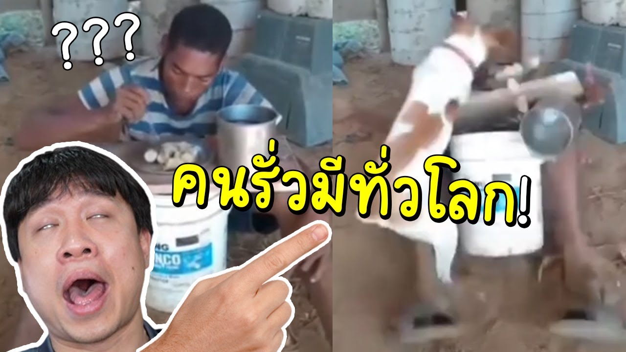 อย่านั่งกินข้าวกับหมาวัดนามกุย...🐒คนรั่วมีทั่วโลก