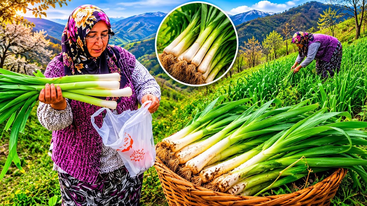 🌞 Kış Günü Pırasa Bahçesinde Ot Temizliği ve Hasat 🥬 | Köy Hayatı