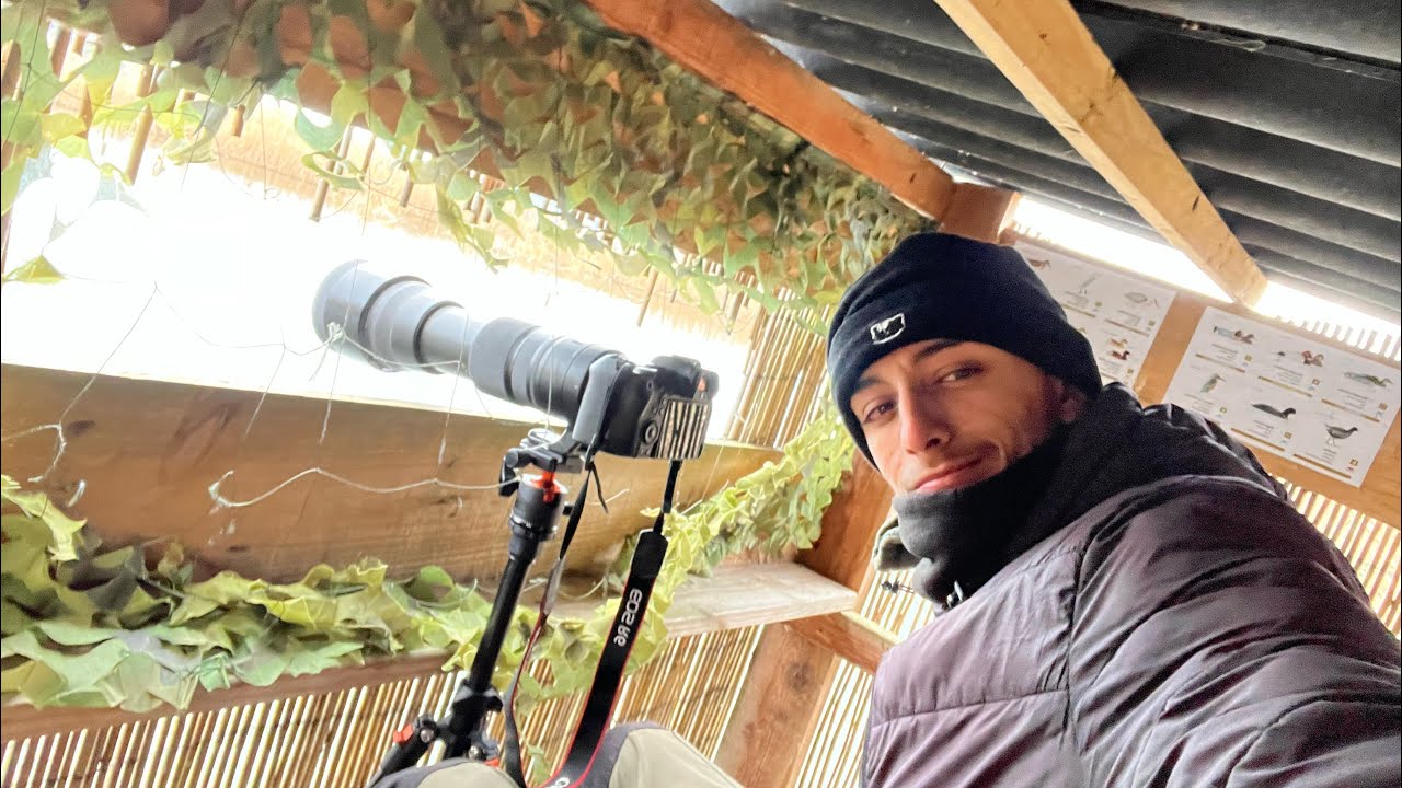Un fin de semana por el Urdaibai Bird Center | Aves y naturaleza 