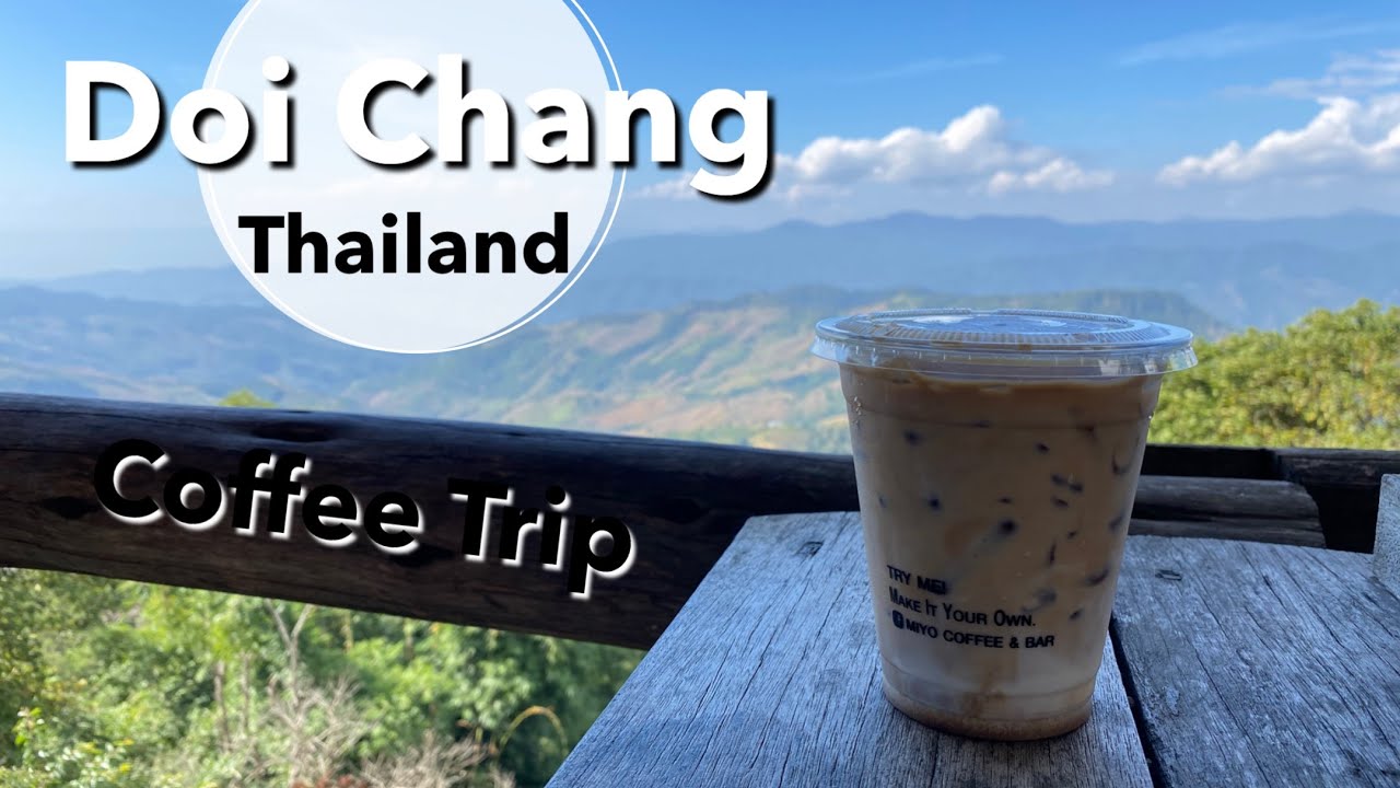 DOI CHANG Travel Guide | A heaven trip in Chiang Rai for coffee lovers