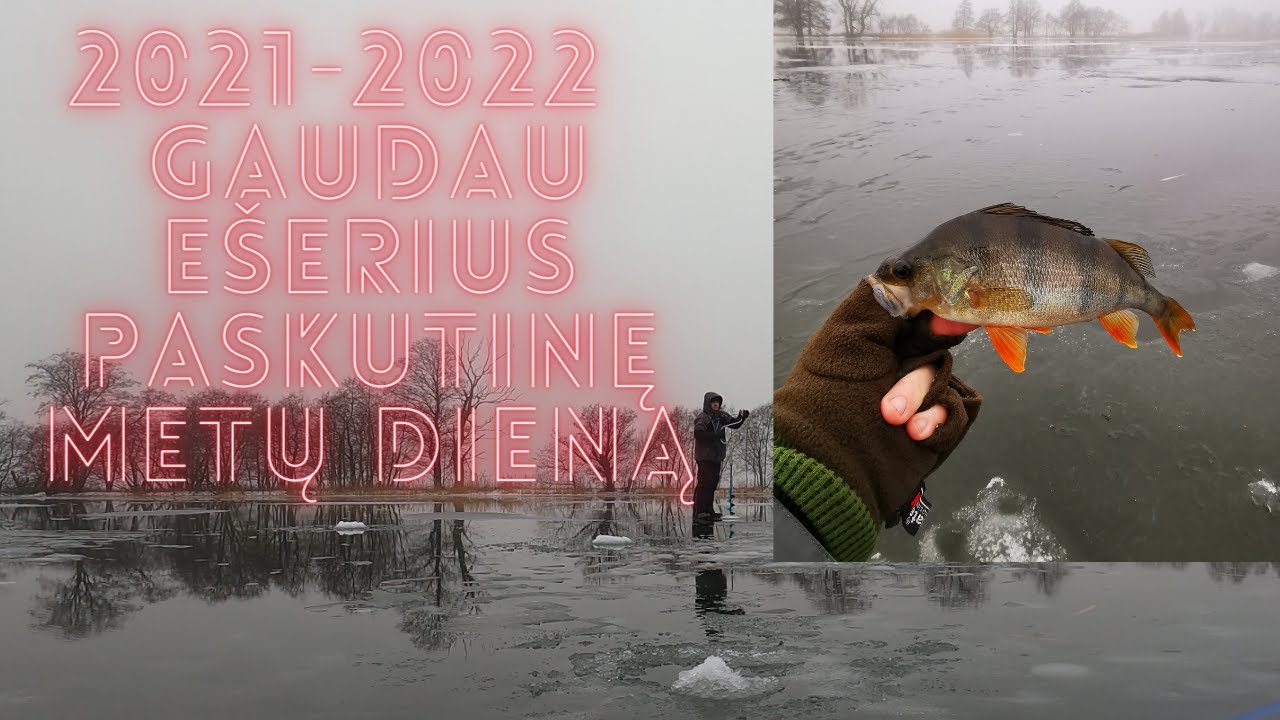 2021- 2022 m gaudau ešerius paskutinę metų dieną.