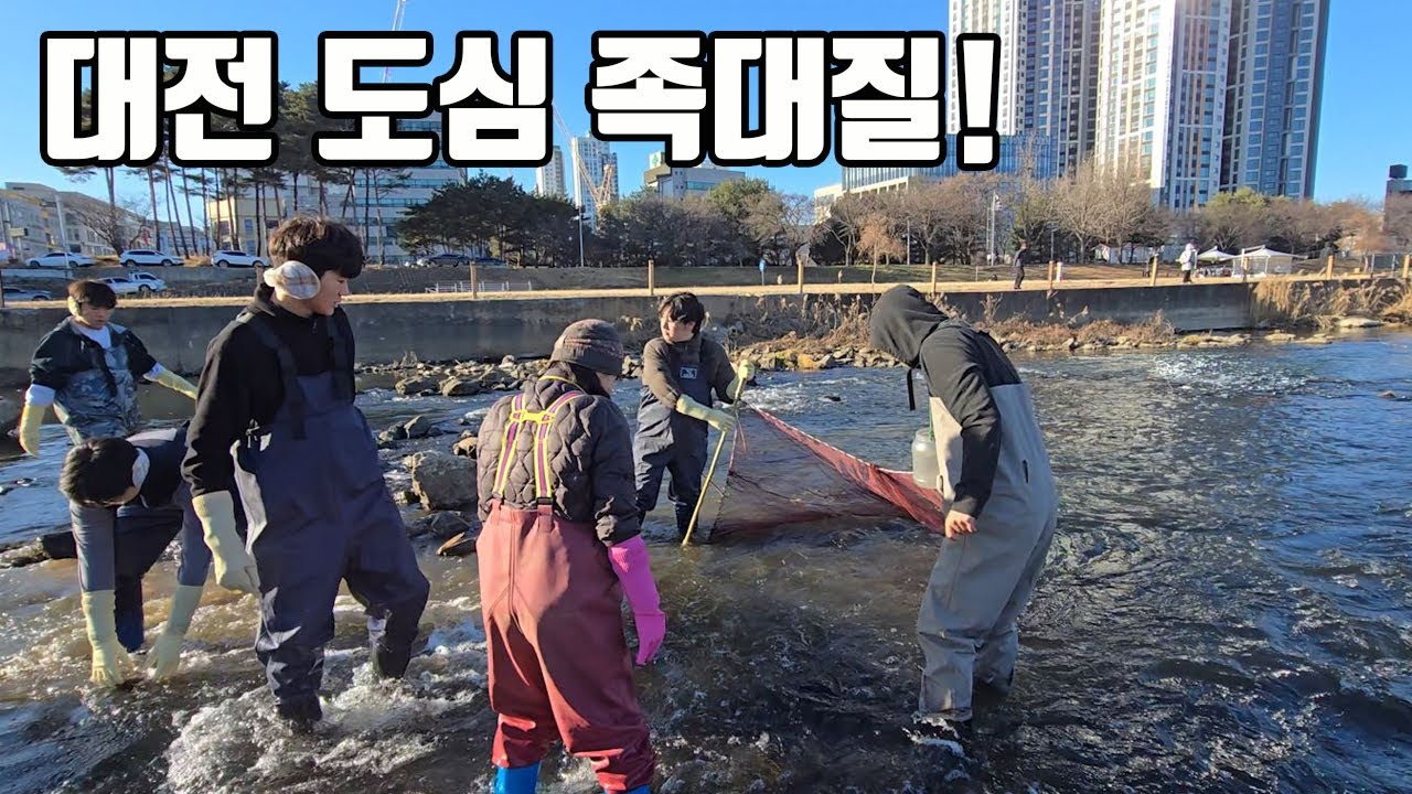 대전 도시한복판 하천엔 뭐가 살고 있을까??  (ft.이게 나온다고?? ㄷㄷ)