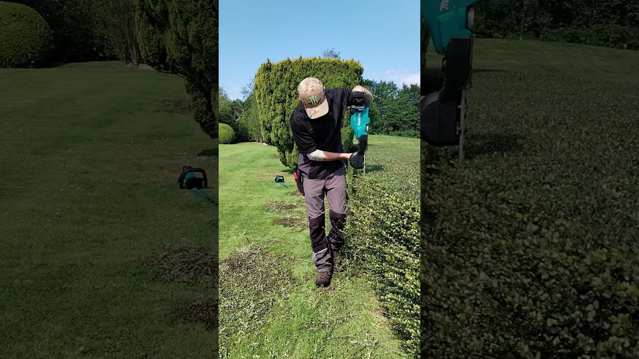 Hedge Trimming The Sides #shorts