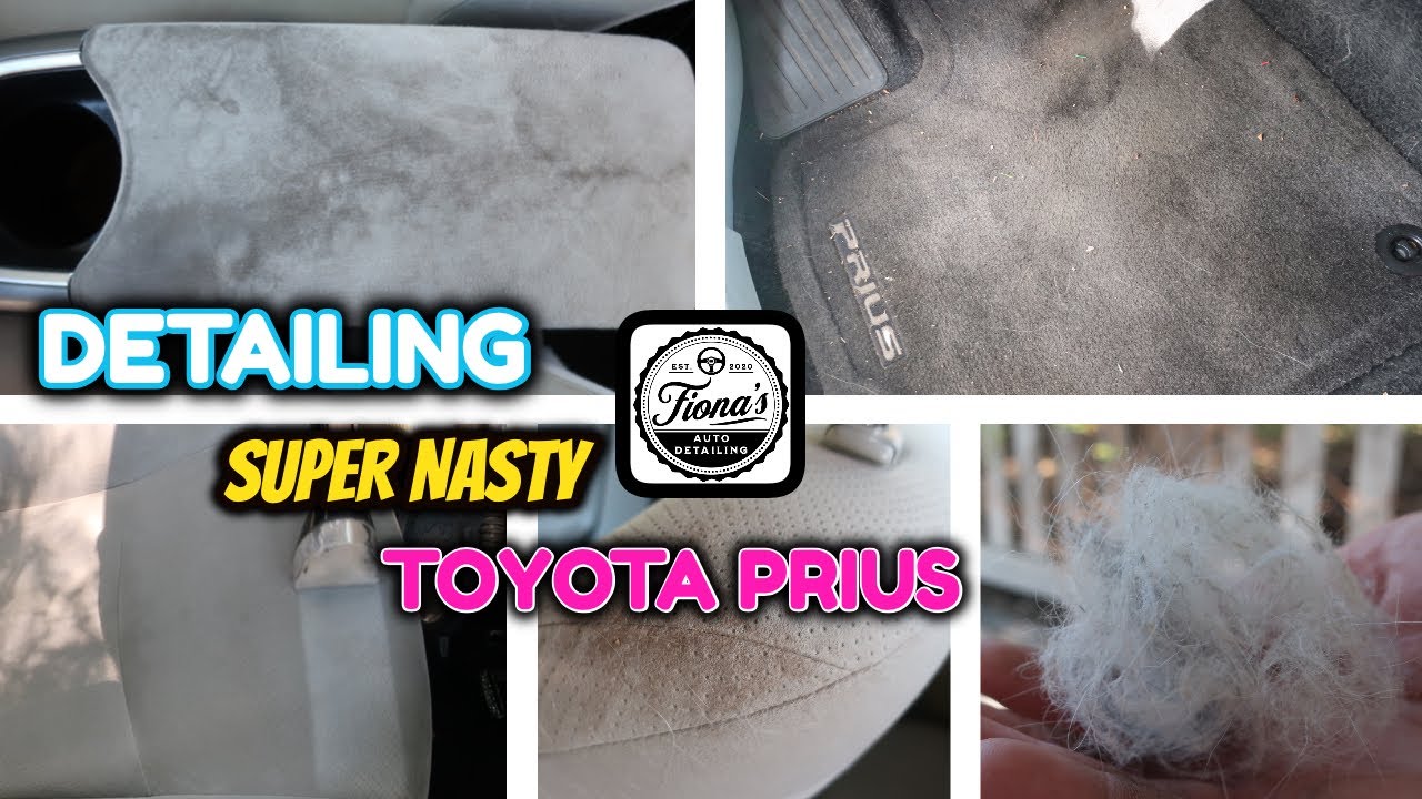 Detailing a NASTY Dog Hair Filled Prius || Complete Interior & Exterior Detail