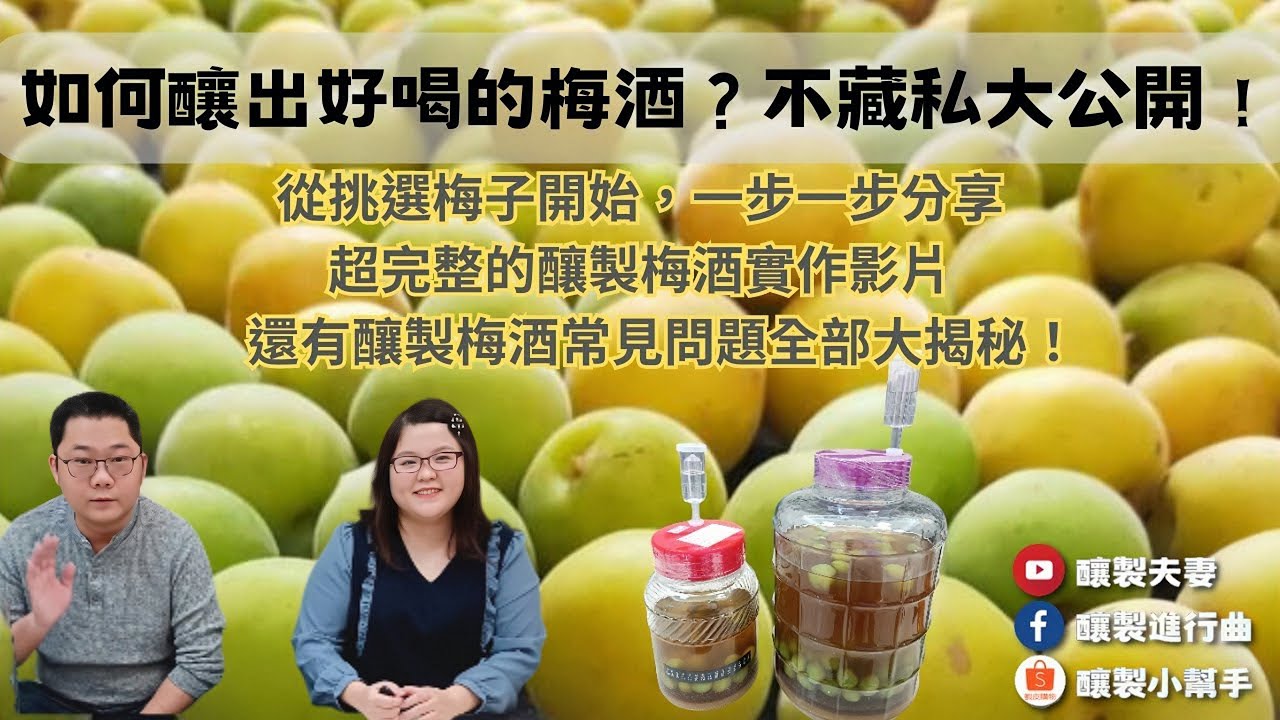 【釀製夫妻】如何釀出好喝的梅酒？基礎版不藏私大公開Plum Wine｜梅酒釀製全程｜想釀出好喝的梅酒必看｜從挑選梅子開始一步分享｜青梅黃梅熟度挑選｜釀製進行曲｜釀製小幫手｜釀製實作｜科學釀製｜釀酒技巧
