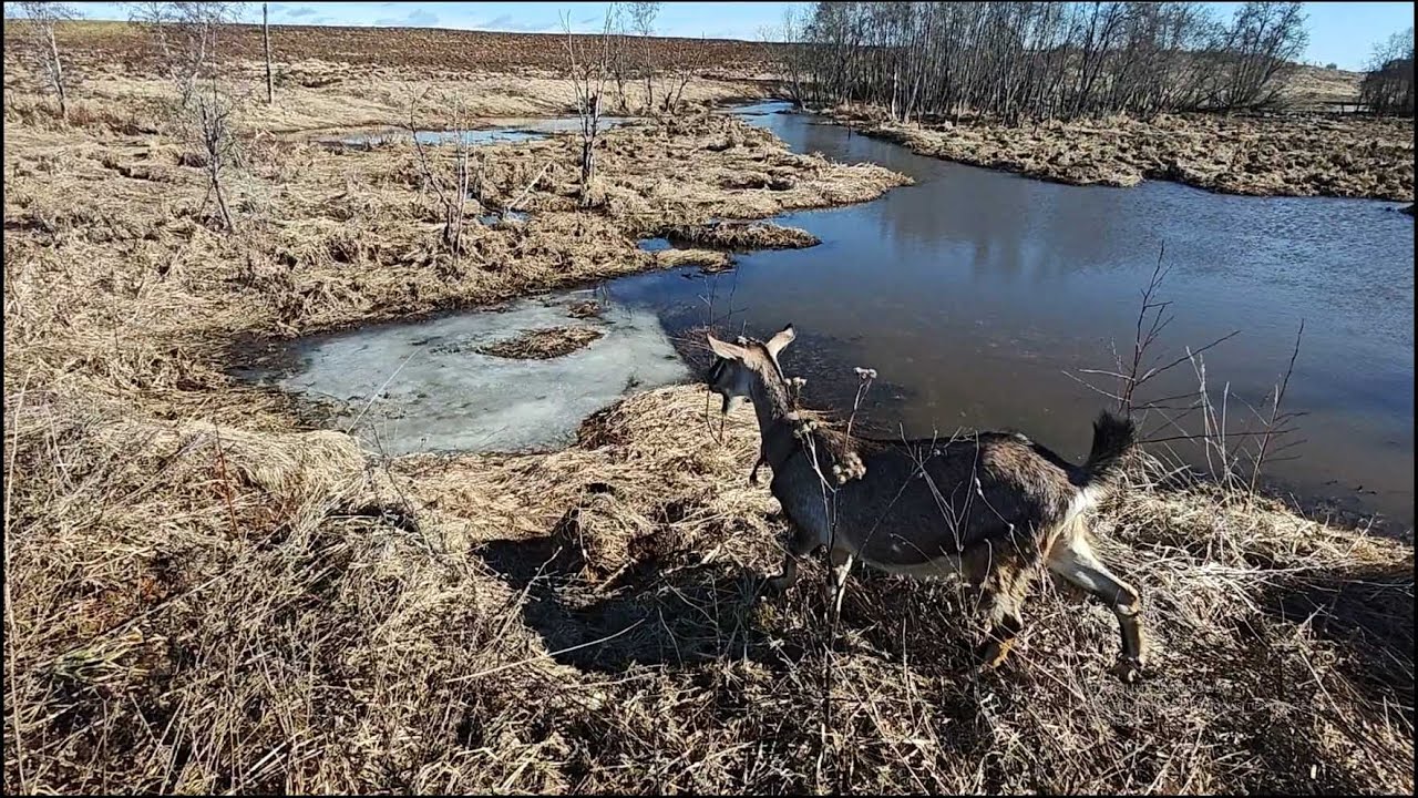 07.03.25 г. 