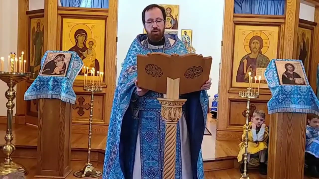 Homily on the Sunday of the Prodigal Son - 