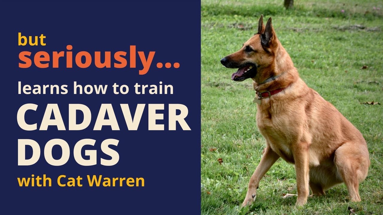 &ldquo;But Seriously&hellip;&rdquo; Learns How to Train Cadaver Dogs with Cat Warren