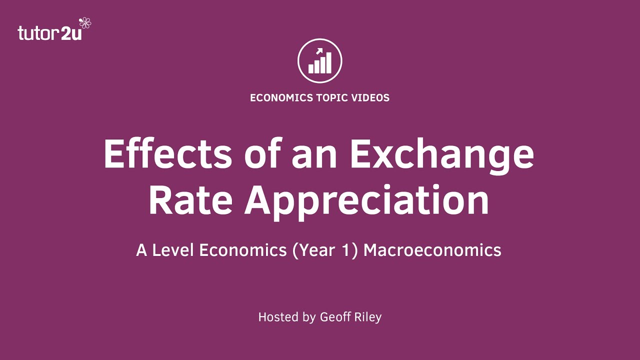 Impact of a Currency Appreciation I A Level and IB Economics