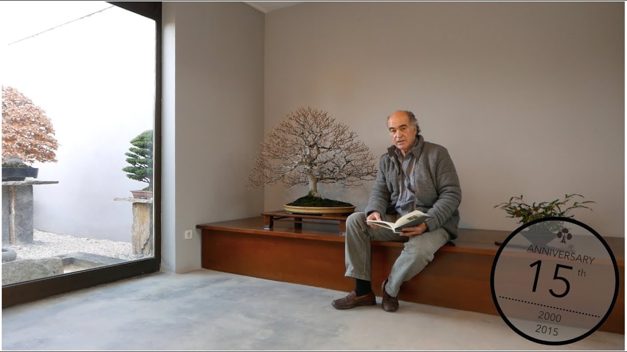 When to repot and prune roots of a Bonsai, Luis Vallejo